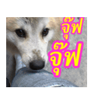 mhaaTHAI : Have you finished work？（個別スタンプ：19）