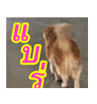 mhaaTHAI : Have you finished work？（個別スタンプ：20）