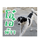 mhaaTHAI : Have you finished work？（個別スタンプ：21）