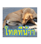 mhaaTHAI : Have you finished work？（個別スタンプ：22）