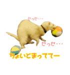 フェレっと♪ラム子とテンちゃん（個別スタンプ：7）