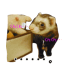 フェレっと♪ラム子とテンちゃん（個別スタンプ：15）