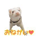 フェレっと♪ラム子とテンちゃん（個別スタンプ：16）