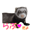 フェレっと♪ラム子とテンちゃん（個別スタンプ：19）