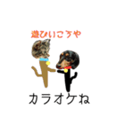 コロとコハルの日常（個別スタンプ：1）