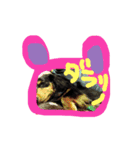コロとコハルの日常（個別スタンプ：21）