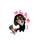 コロとコハルの日常（個別スタンプ：22）