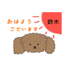 プードル鈴木さんの日常会話（個別スタンプ：1）