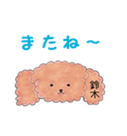 プードル鈴木さんの日常会話（個別スタンプ：5）