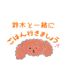 プードル鈴木さんの日常会話（個別スタンプ：11）
