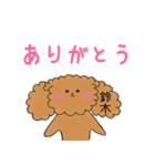 プードル鈴木さんの日常会話（個別スタンプ：17）