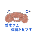 プードル鈴木さんの日常会話（個別スタンプ：19）