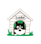 幸運な犬”ラッキー”（個別スタンプ：1）