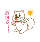 I entrust you in Haku！（個別スタンプ：1）