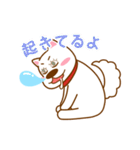 I entrust you in Haku！（個別スタンプ：15）