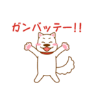 I entrust you in Haku！（個別スタンプ：39）