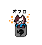 ドット絵ねこさん（個別スタンプ：13）