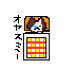 ドット絵ねこさん（個別スタンプ：19）