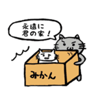 シュール猫『ジロキチとゴマゾウ』（個別スタンプ：1）