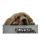 アルルとラン（個別スタンプ：9）