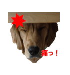 アルルとラン（個別スタンプ：14）