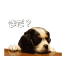 アルルとラン（個別スタンプ：23）