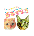 きなことあんこ（個別スタンプ：4）