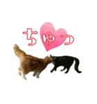 きなことあんこ（個別スタンプ：11）