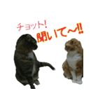 きなことあんこ（個別スタンプ：19）