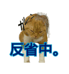 きなことあんこ（個別スタンプ：30）