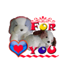 VALENTINE DAY（個別スタンプ：5）