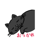ゆるかわ 黒猫 すー様（個別スタンプ：14）
