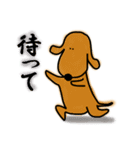 ダックス犬・タロスタンプ（個別スタンプ：2）