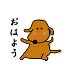 ダックス犬・タロスタンプ（個別スタンプ：7）