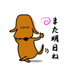 ダックス犬・タロスタンプ（個別スタンプ：8）