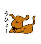 ダックス犬・タロスタンプ（個別スタンプ：10）