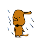 ダックス犬・タロスタンプ（個別スタンプ：13）