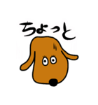 ダックス犬・タロスタンプ（個別スタンプ：16）