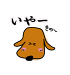 ダックス犬・タロスタンプ（個別スタンプ：17）
