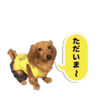 Elfie＆Shineスタンプ（個別スタンプ：10）