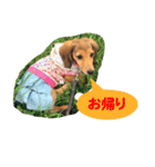 Elfie＆Shineスタンプ（個別スタンプ：25）