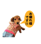 Elfie＆Shineスタンプ（個別スタンプ：29）