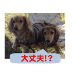 Elfie＆Shineスタンプ（個別スタンプ：32）