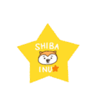 Shibainu！！（個別スタンプ：16）