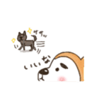 Shibainu！！（個別スタンプ：20）