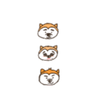 Shibainu！！（個別スタンプ：37）