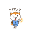 Shibainu！！（個別スタンプ：39）