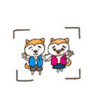 Shibainu！！（個別スタンプ：40）