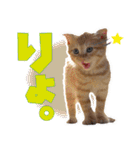 モノとシューのスタンプ（個別スタンプ：1）