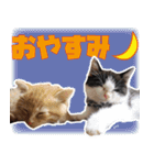 モノとシューのスタンプ（個別スタンプ：9）
